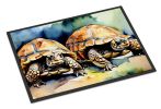 NEW Turtles Tortoises Doormat Front Door Mat Indoor Outdoor Rugs for Entryway, Non Slip Washable Low Pile, 18H X 27W