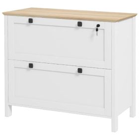 2 Drawer File Cabinet, Lockable Filing Cabinet with Adjustable Hanging Bar for Letter, A4 and Legal Size, White (Option: White)