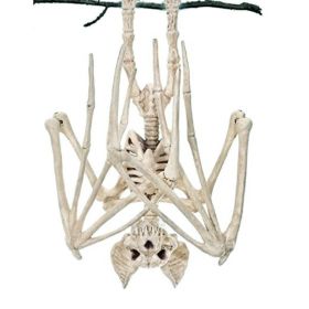 Spook Up Your Halloween Decor with This Vivid Bat Skeleton Model (Quantity: 1pc, Material: Spider)