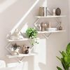 2 Pack Geometric Diamond Floating Wall Shelves, Industrial Wood and Metal Wall Mounted Display Racks